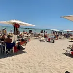 Daire Unico Senso Montottone