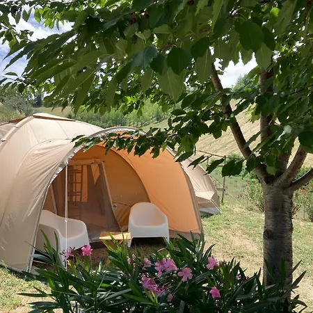 Unico Senso Apartment *