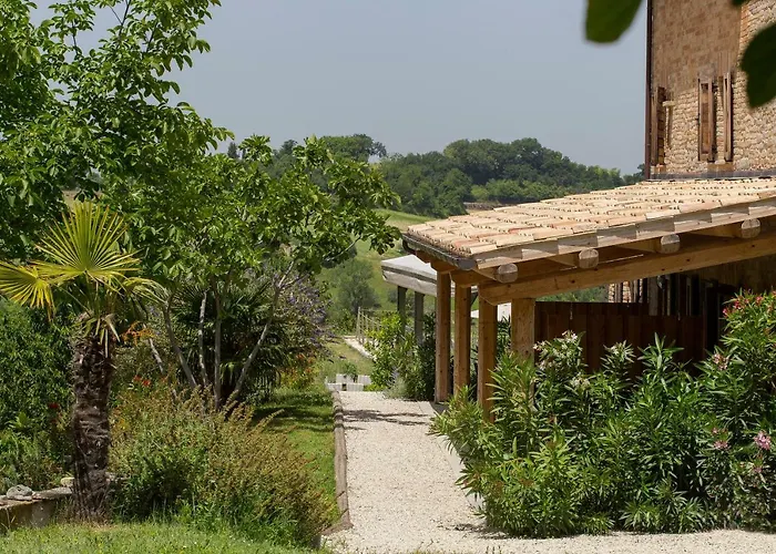 Unico Senso Montottone